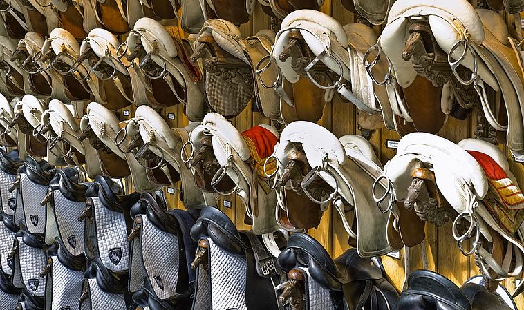 The Spanish Riding School of Vienna Saddles